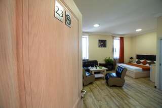Отель Alex Hotel Ереван Двухместный номер Делюкс с 1 кроватью-11